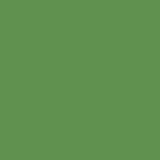 Dulux satin duratec intensity leaf (green) powder coat colour swatch