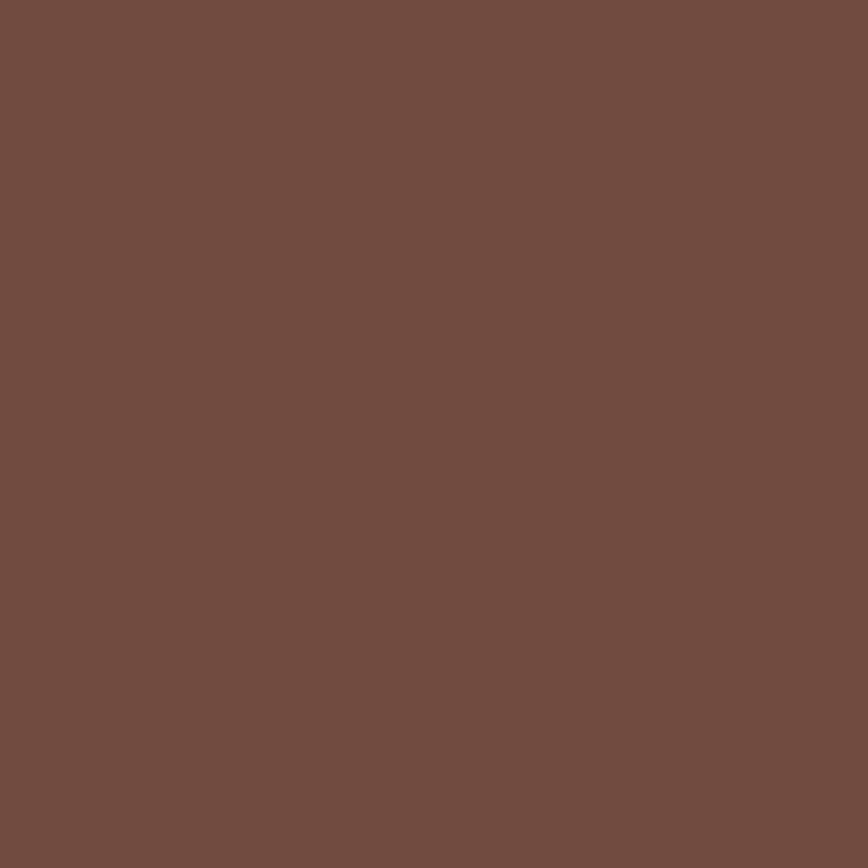 Dulux satin duralloy terrain (brown) powder coat colour swatch