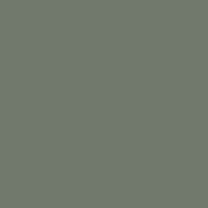 Dulux satin duralloy wilderness (green) powder coat colour swatch