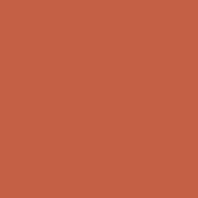 Dulux gloss duratec intensity tomcat (orange) powder coat colour swatch