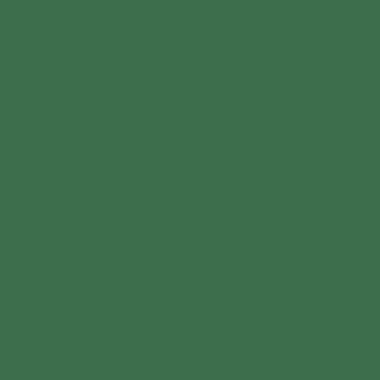 Dulux satin duratec intensity evergreen (dark green) powder coat colour swatch