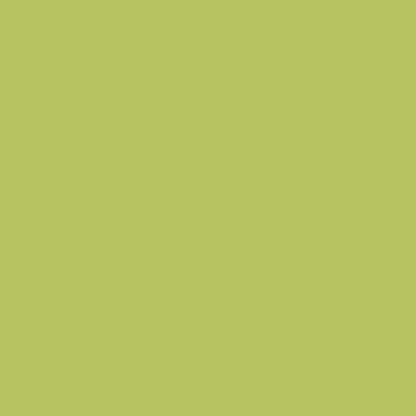 Dulux satin duratec intensity juicy lime (light green) powder coat colour swatch